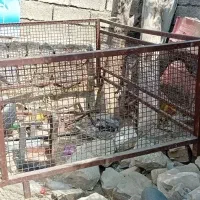 اتاق نیسان وانت مخصوص حمل گوسفند ارتفاع ۱متر
