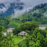 تور مسافرتی شمال