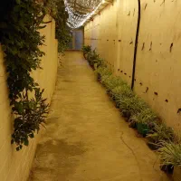 خانه اجاره ای