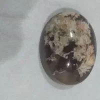 سنگ شجر
