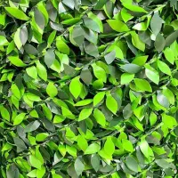 فروش فنس برگی