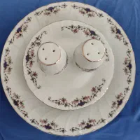 سرویس چینی مرجان