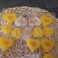 نبات شاین