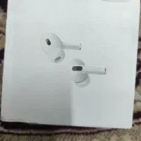 ارپت