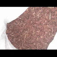 پنجاه شصد کیلوی کشمش کیلویی ۱۶۰