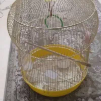 قفس پایه دار