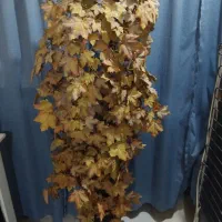 درخت مصنوعی پاییزی خارجی قابل شستشو