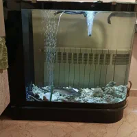 آکواریوم بزرگ شیشه خم