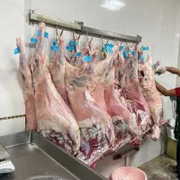 پخش گوشت قرمز