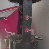 چرخ چاه