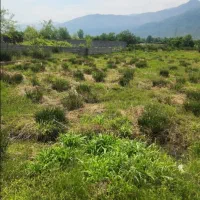 فروش زمین داخل طرح برای سرمایه گذاری