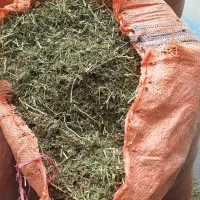فروش کاه یونجه