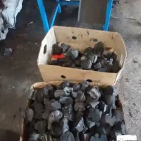 زغال انگوربرش خورده