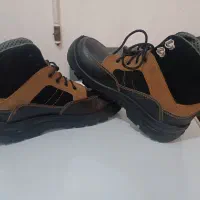 کفش ایمنی کار