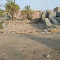کار-کسب