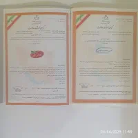 ثبت برند، ثبت نام تجاری و لوگو