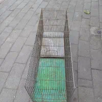 قفس پرنده