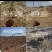 کندن چاله درخت