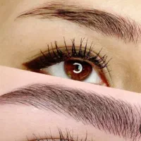 مدل فیبروز رایگان