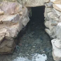 کارگر خانم
