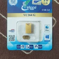 فلش ۱۶ گیگ ویکومن