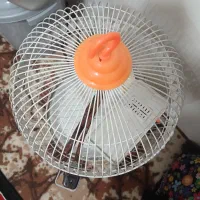 قفس مرغ عشق نونو جنس عالی و خووب