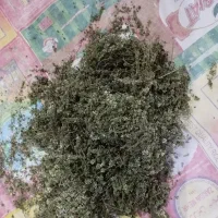کاکوتی کوهی تمیز پاک شده صد گرم50هزار تونان