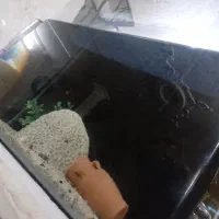 اکواریوم شیشه خم با وسایل