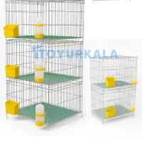 نگهداری اصولی کبوتر در قفس کبوتر