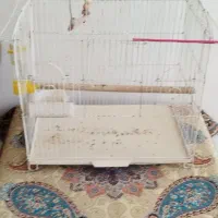 قفس عروس