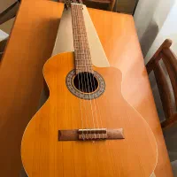 گیتار پارسی M5 cut
