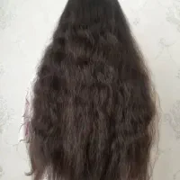 کات مو