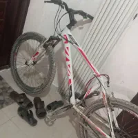 دوچرخه اکسیژن ویوا اصل