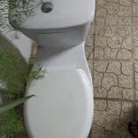توالت فرنگی