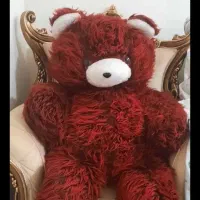 عروسک خرس شاسخین