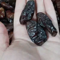 خرما|خوردنی و آشامیدنی|کرج, باغستان|دیوار