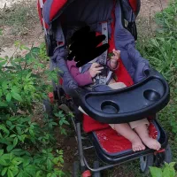 وسایل کودک کالسکه روروئک کریر