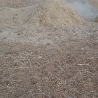 کاه گرگرو