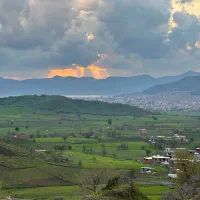 املاک اسدی