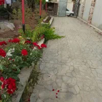 ویلا باغ