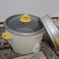 پلو پز|اجاق گاز و لوازم برقی پخت‌وپز|قم, انصار‌الحسین|دیوار