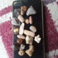 سنگ های قیمتی و زنده
