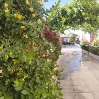 یک خانم جهت کار در کافه رستوران