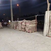 فرش اجاره مناسب برای مراسمات