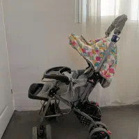 کالسکه مارک دلیجان