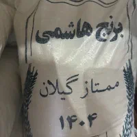 برنجایرانی کشت یک هاشمی درجه یک
