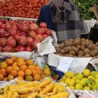 نیازمند کارگر میوه فروشی