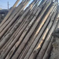 ۲۹عددچوب ۴متری درجه ۱..دانه۸۰۰تومن