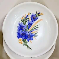 بشقاب ملامین خورشت خوری قدیمی نو