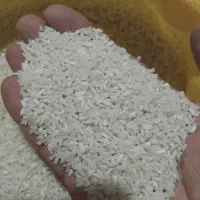 سرلاشه هاشمی